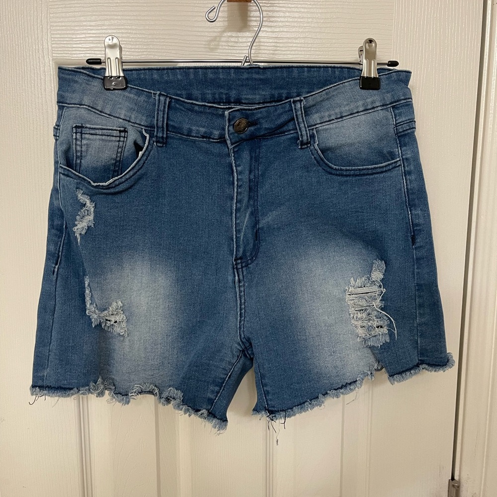 Crazy Train Jean shorts sz Large